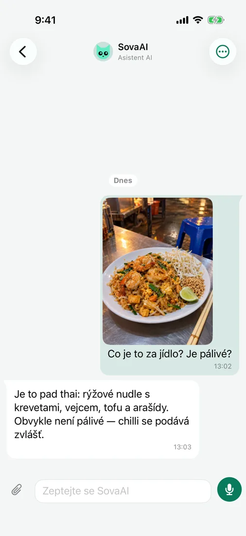 Zeptejte se SovaAI — i na fotku