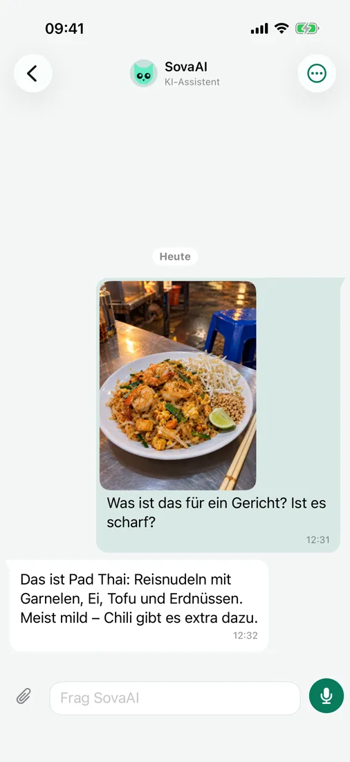 Fragen Sie SovaAI — sogar zu einem Foto
