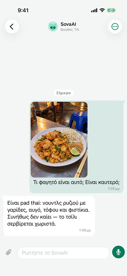 Ρωτήστε το SovaAI — ακόμη και για μια φωτογραφία