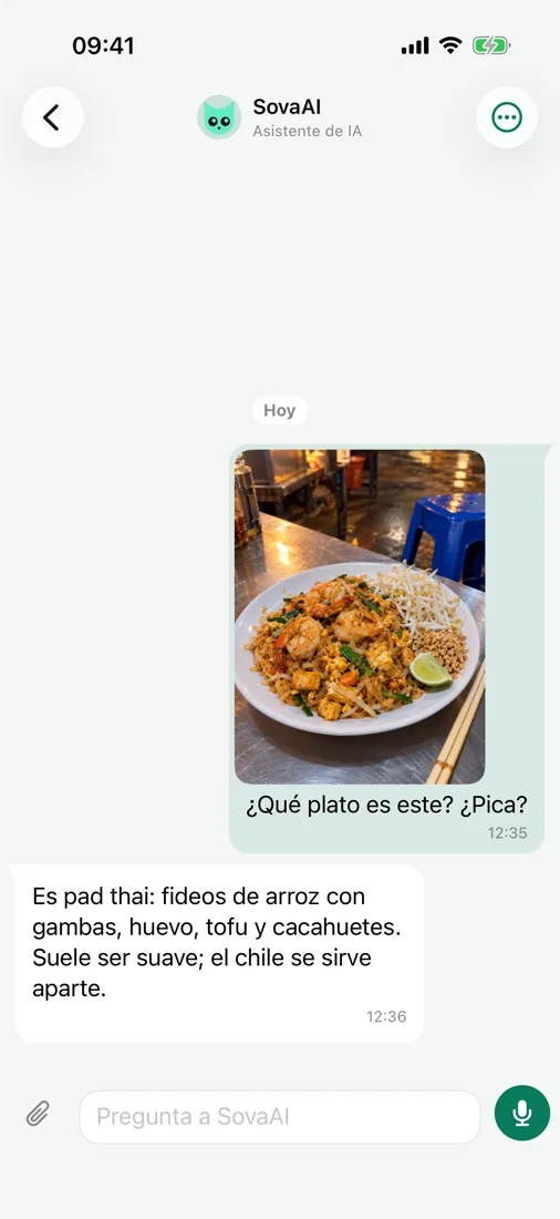 Pregunta a SovaAI — incluso sobre una foto