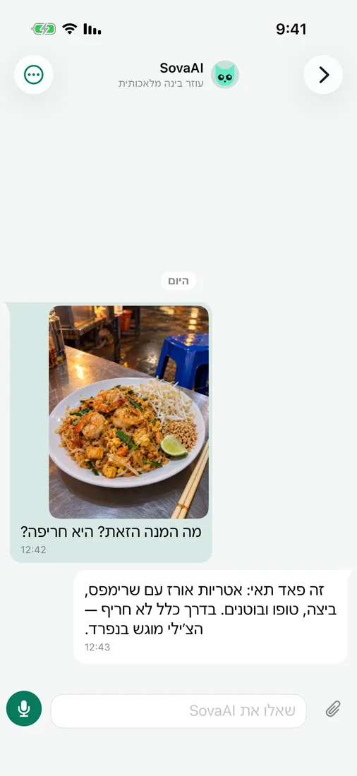 שאל את SovaAI — גם על תמונה