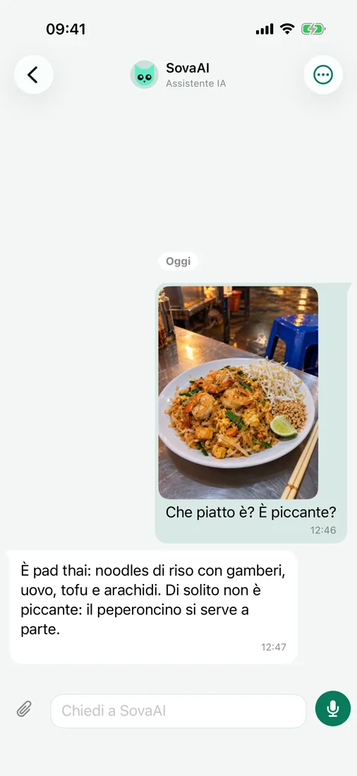 Chieda a SovaAI — anche riguardo a una foto