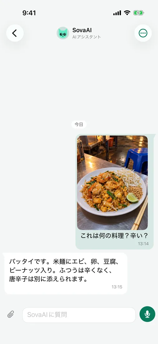 SovaAIに質問 — 写真についても