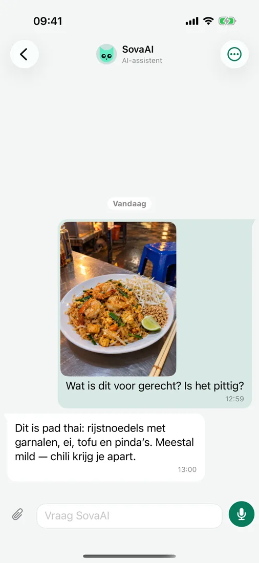 Vraag het aan SovaAI — zelfs over een foto