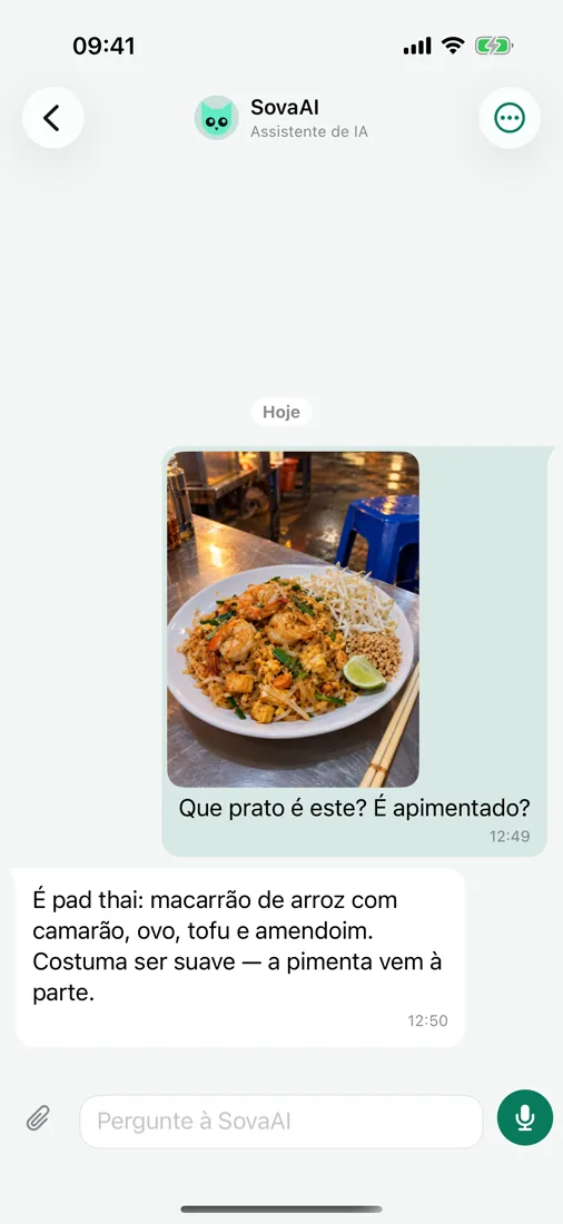 Pergunte ao SovaAI — até sobre uma foto