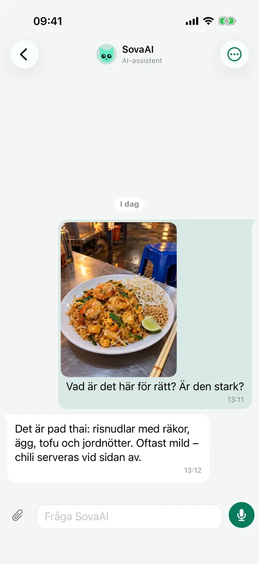 Fråga SovaAI — även om ett foto