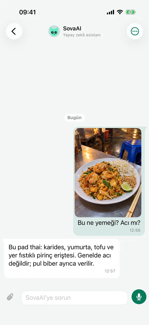 SovaAI'ye sorun — bir fotoğraf hakkında bile