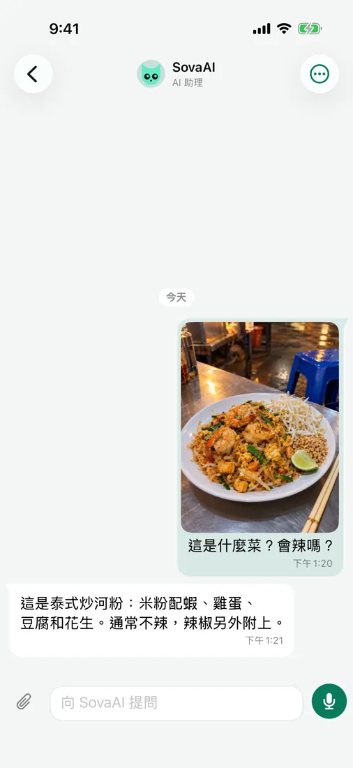 詢問 SovaAI — 甚至關於照片